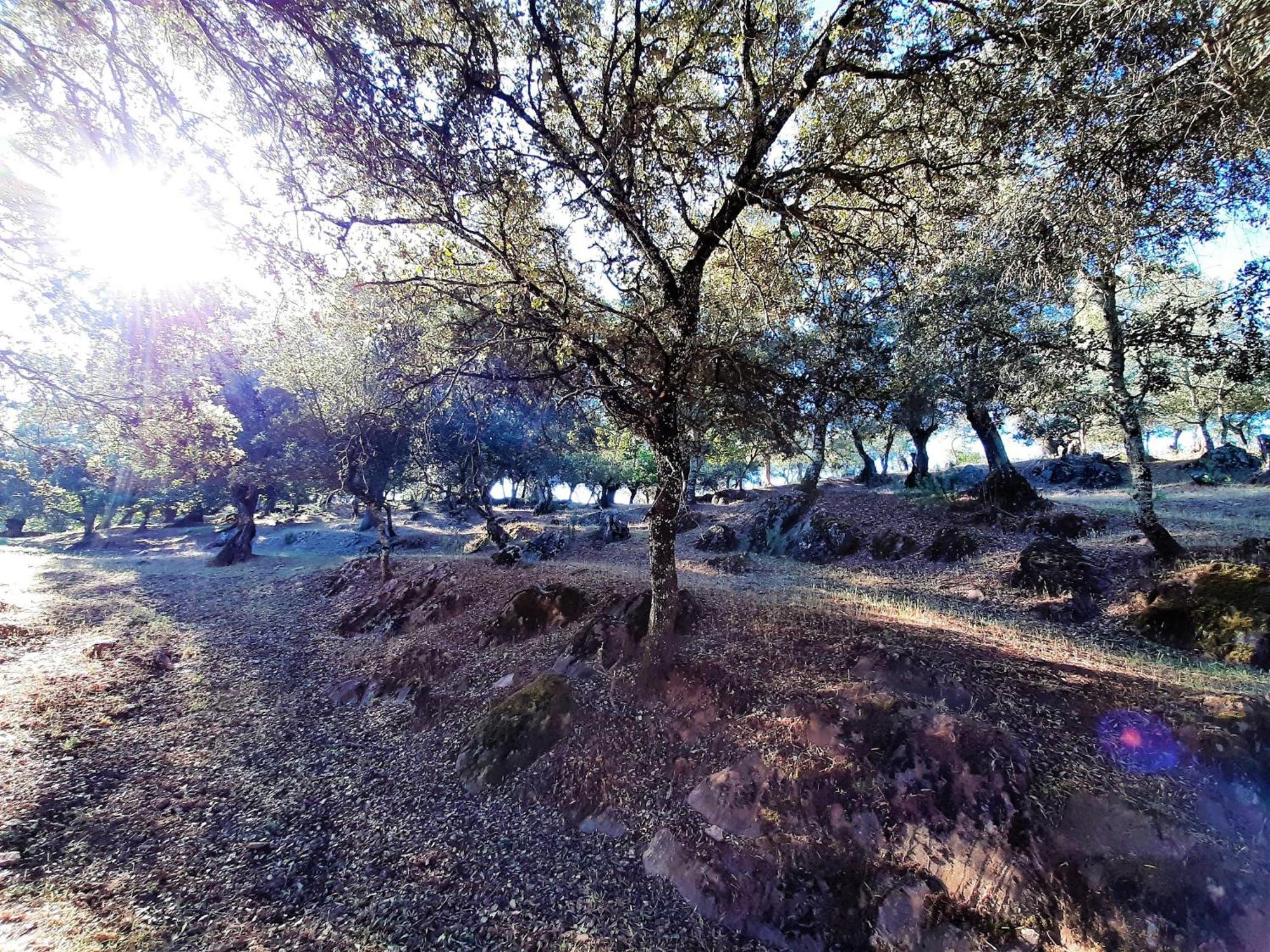 Casa Rural Gurumelo Арасена Екстер'єр фото